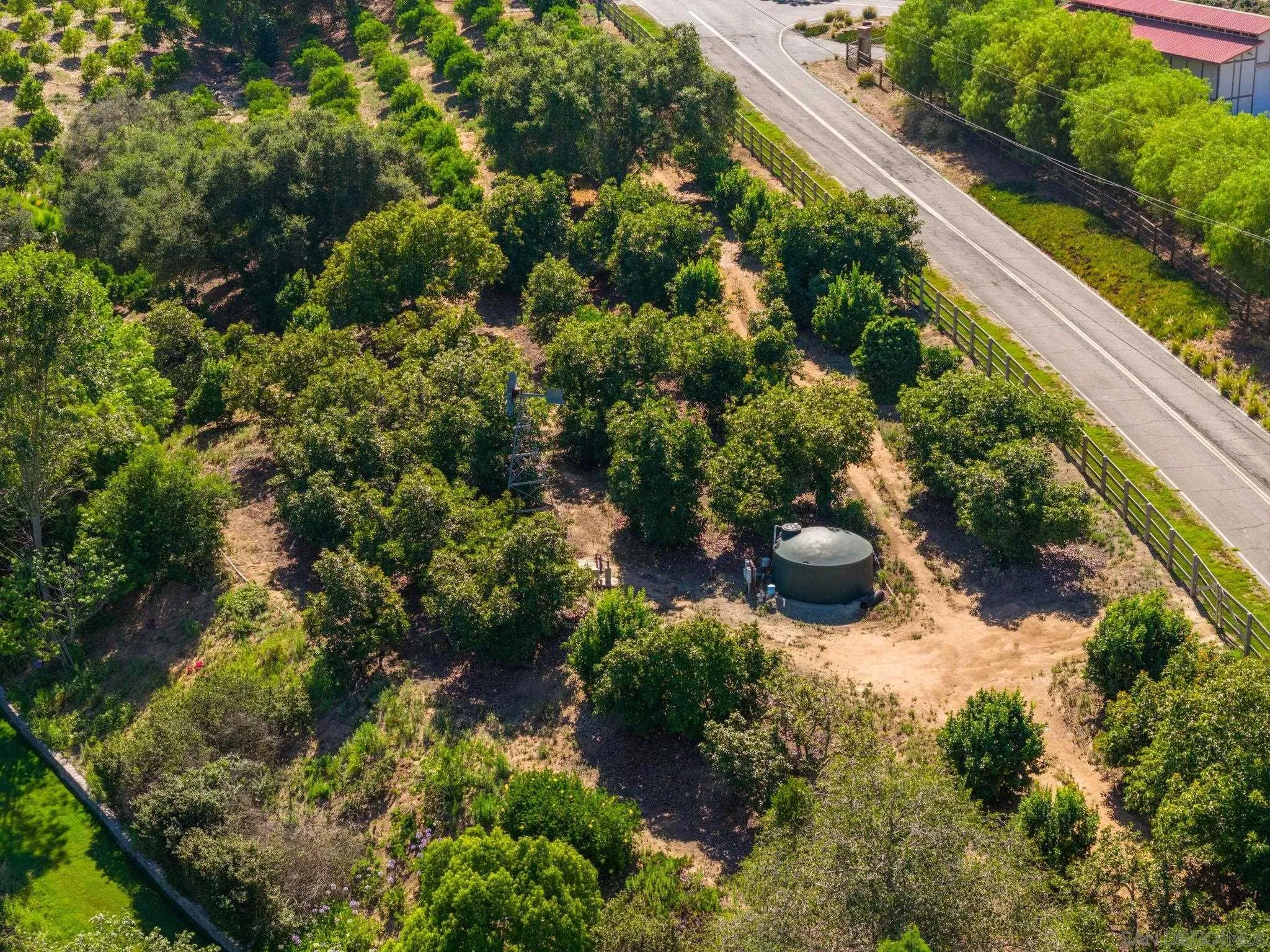 546 Morro Hills Road Fallbrook, CA 92028 - Photo 50 of 52 a view of a garden with a patio