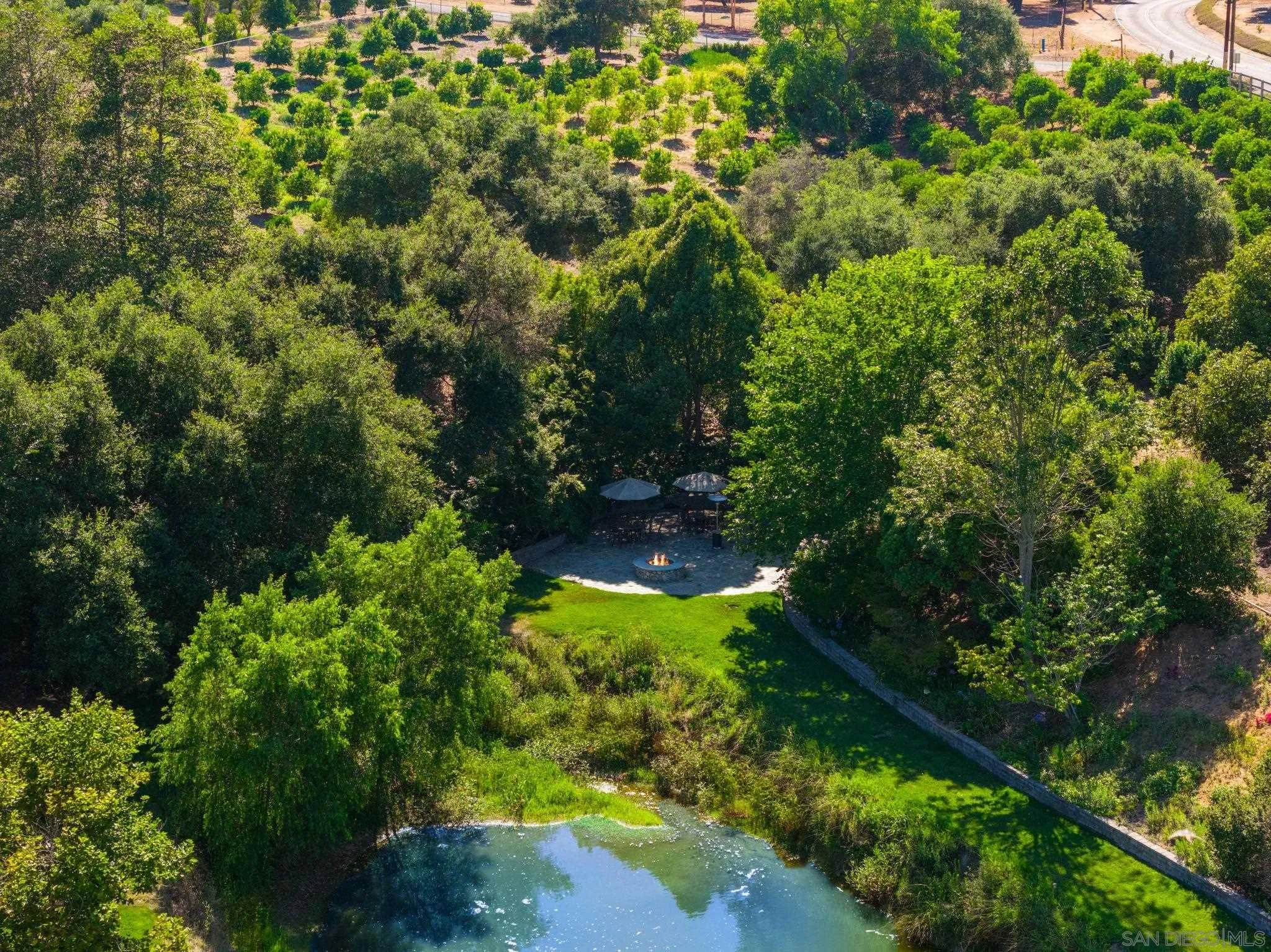 546 Morro Hills Road Fallbrook, CA 92028 - Photo 51 of 52 a view of a garden