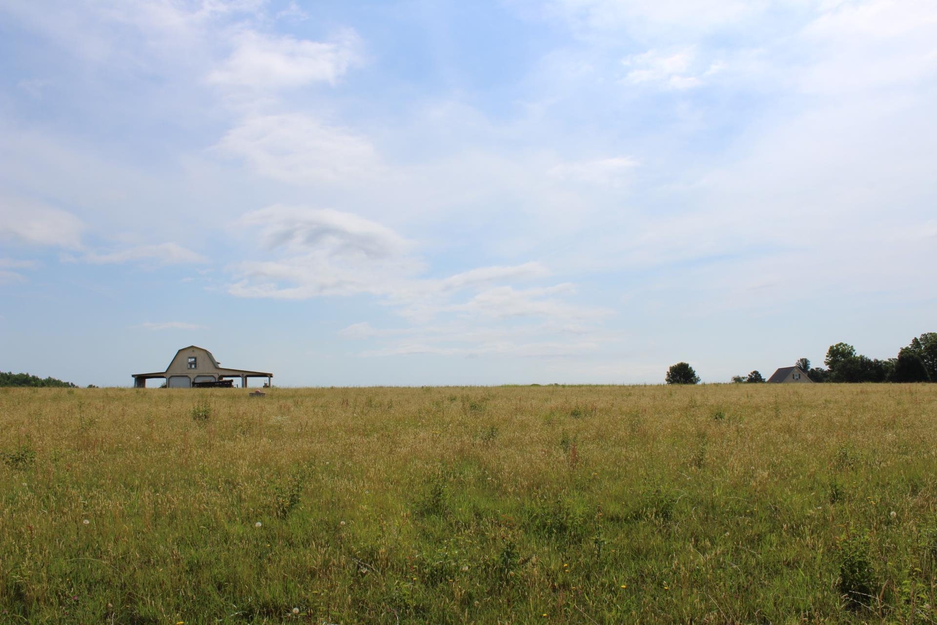 Lot 2 Lambs Grill Road Rutherfordton, NC 28139 - Photo 9 of 20