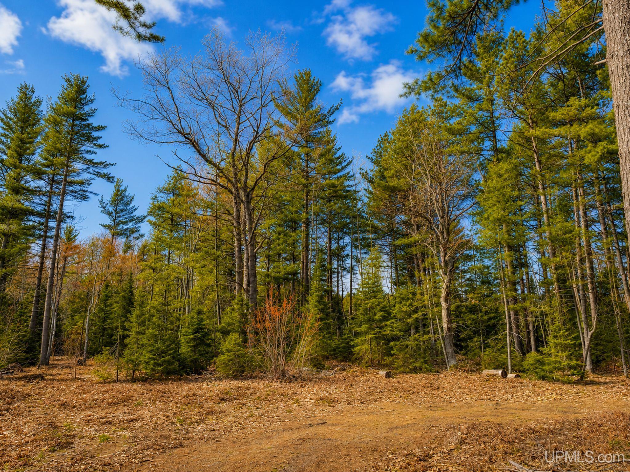 410 Rd Newberry Mi 49868 Road Newberry, MI 49868 - Photo 29 of 36