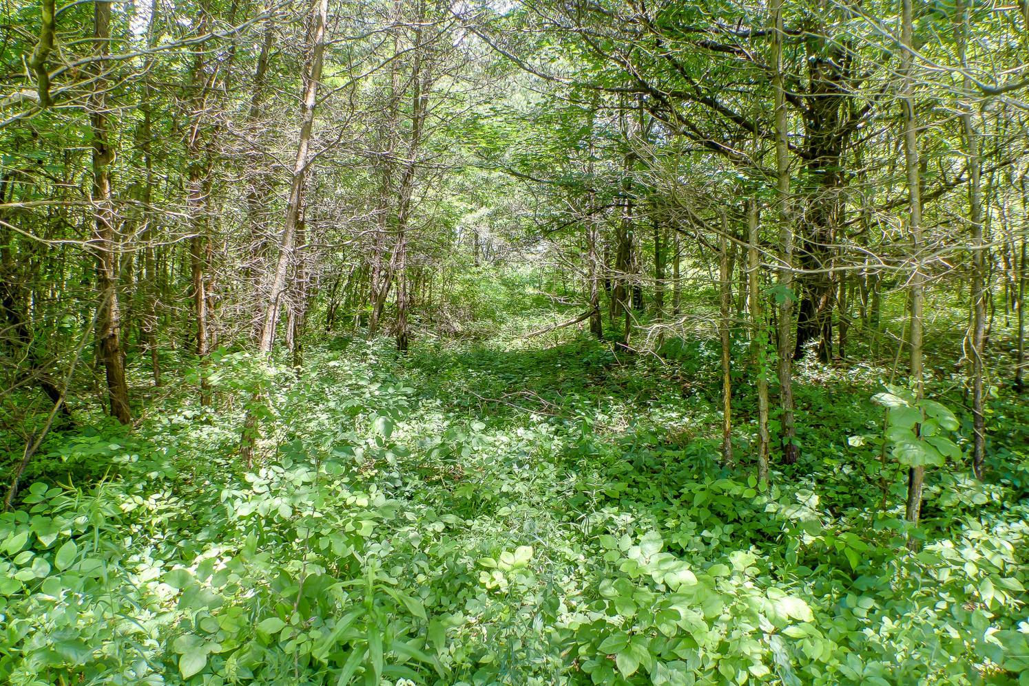 Lot E Lot E Knox Road Logan, OH 43138 - Photo 3 of 8