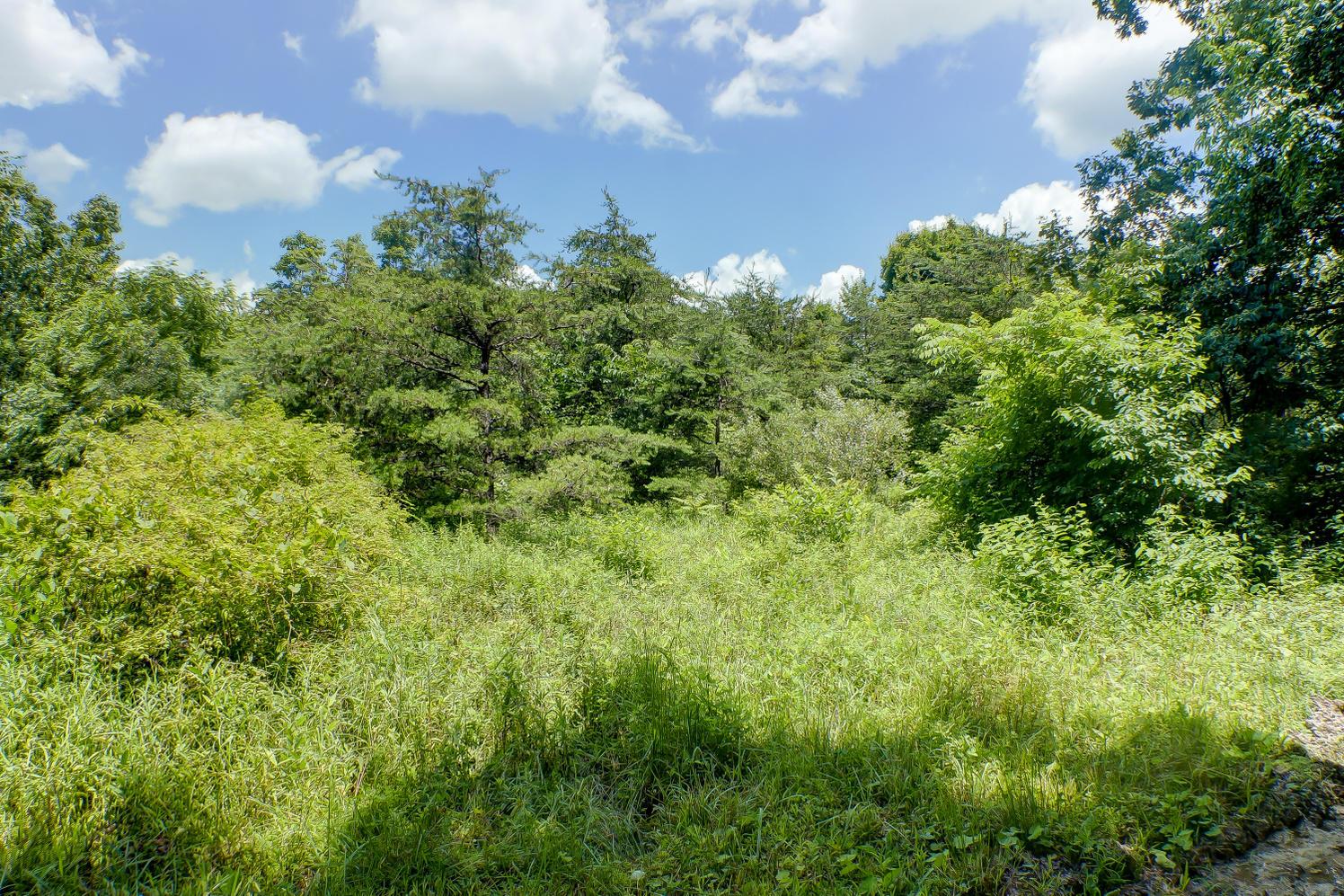 Lot E Lot E Knox Road Logan, OH 43138 - Photo 5 of 8