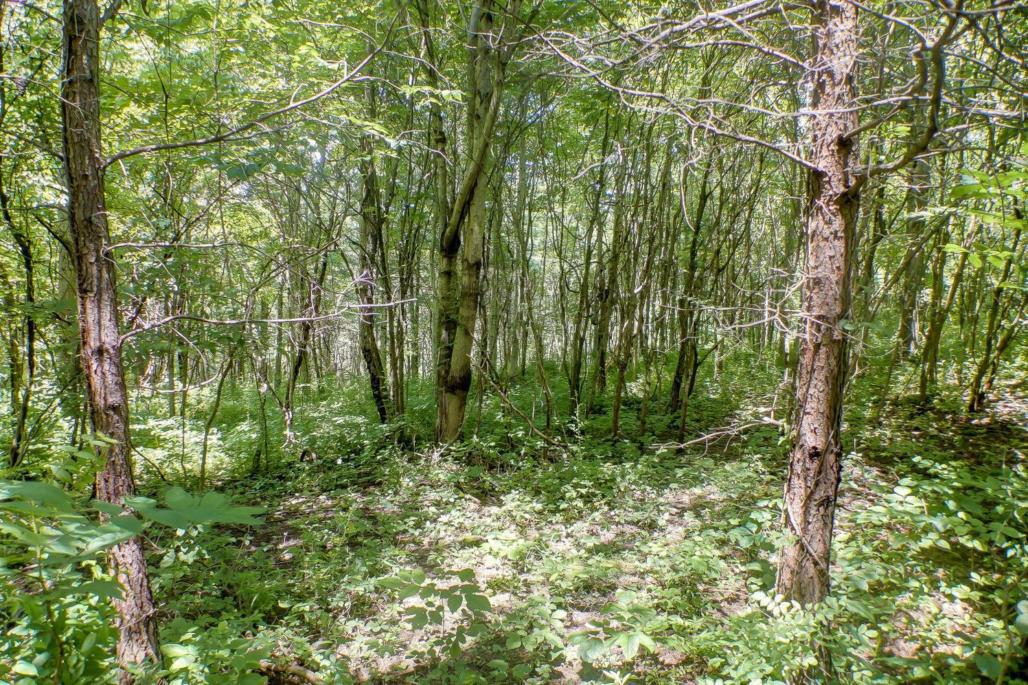 Lot E Lot E Knox Road Logan, OH 43138 - Photo 7 of 8