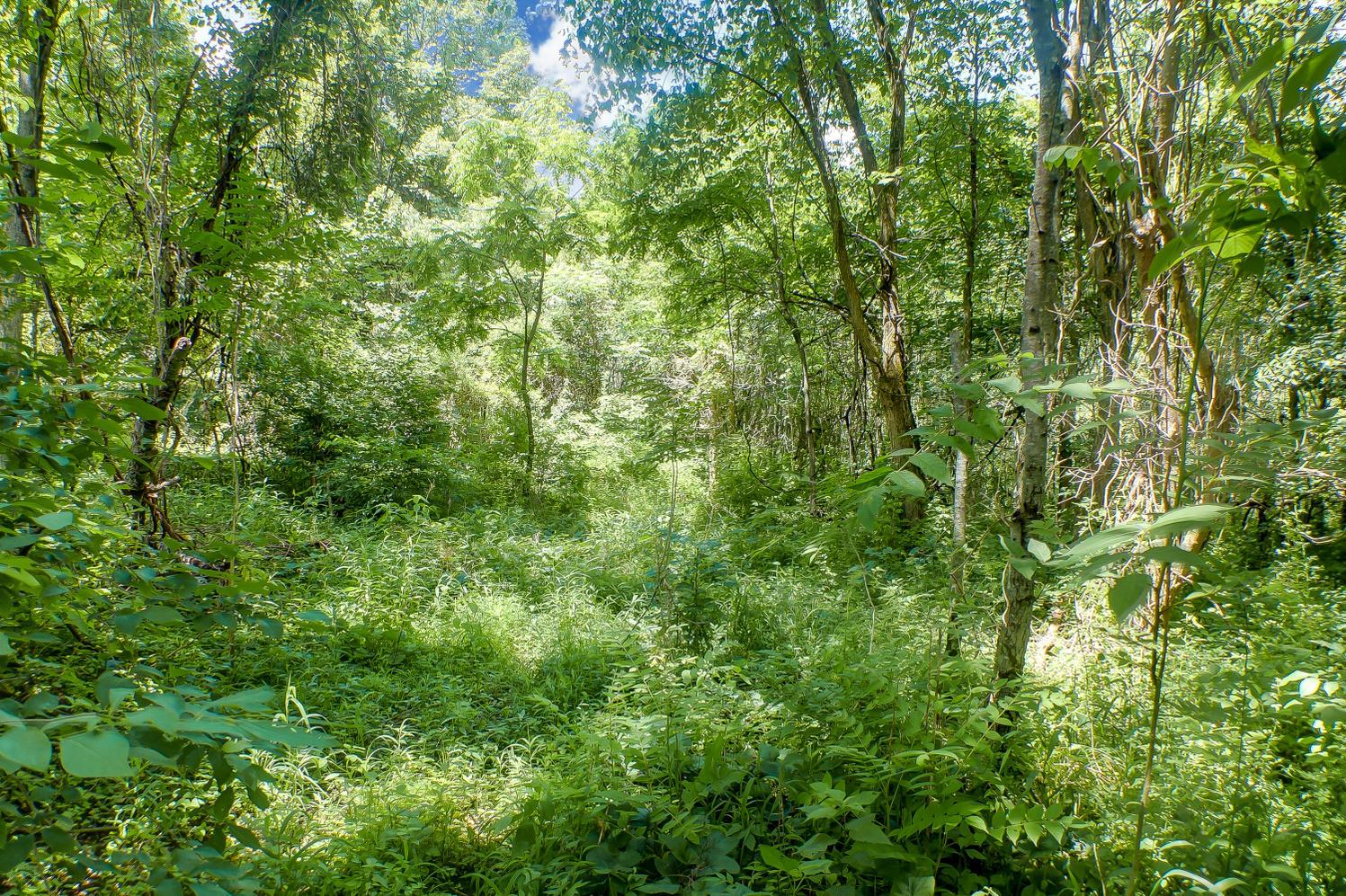 Lot E Lot E Knox Road Logan, OH 43138 - Photo 8 of 8