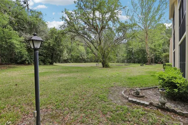 a view of a tree in a yard