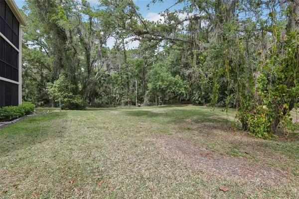 a view of a field with trees in the background