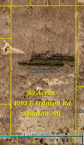 $450,000 | 4093 East Stanton Road, Stanton, MI 48888