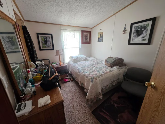 $450,000 | 4093 East Stanton Road, Stanton, MI 48888