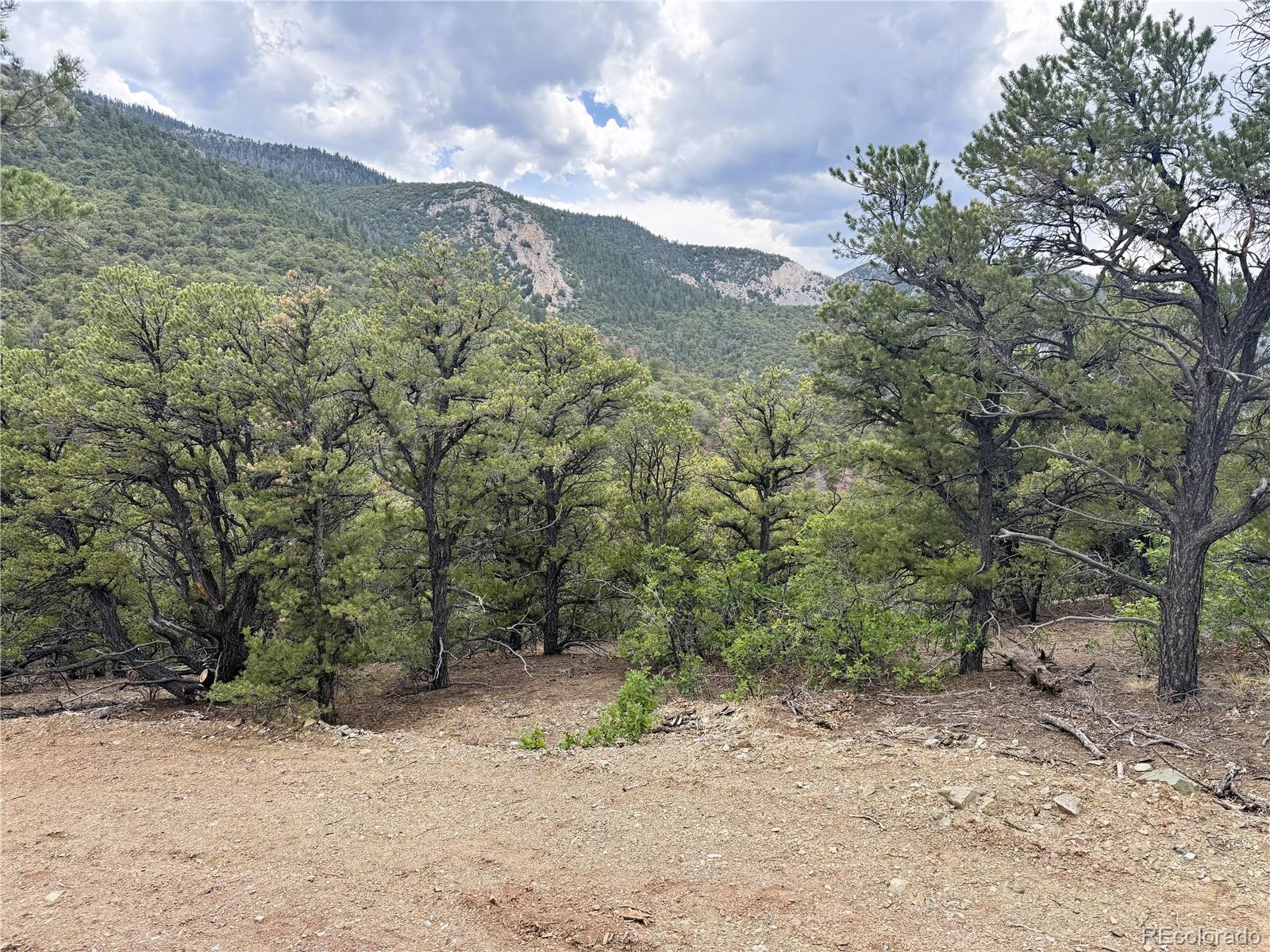 3282 Lower Camp Road Salida, CO 81201 - Photo 6 of 25