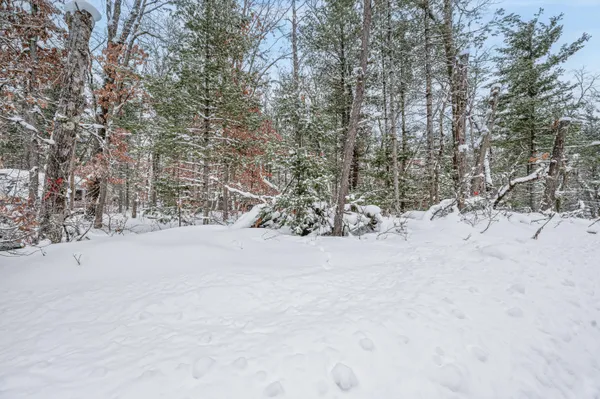 $8,000 | V/l New Bern Boulevard, Baldwin, MI 49304