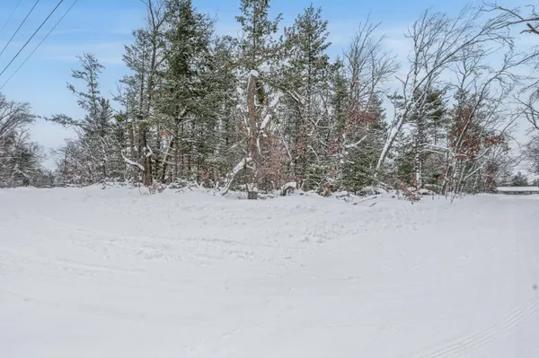 $8,000 | V/l New Bern Boulevard, Baldwin, MI 49304