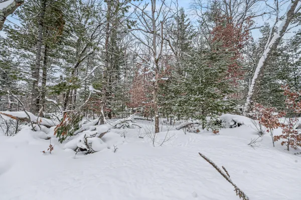 $8,000 | V/l New Bern Boulevard, Baldwin, MI 49304