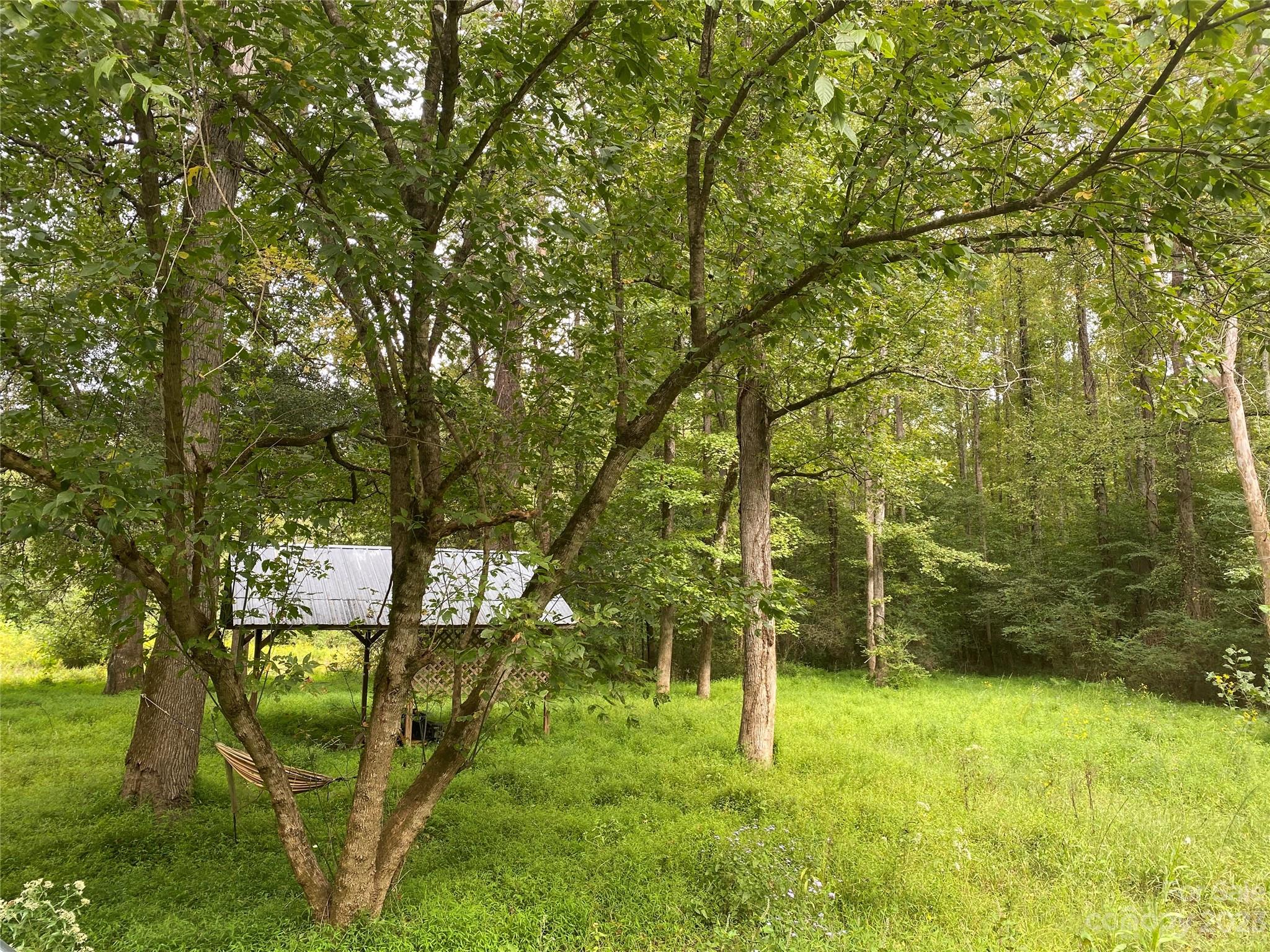 527 Waring Court Fort Mill, SC 29707 - Photo 29 of 31 a backyard of a house with lots of plants and large trees