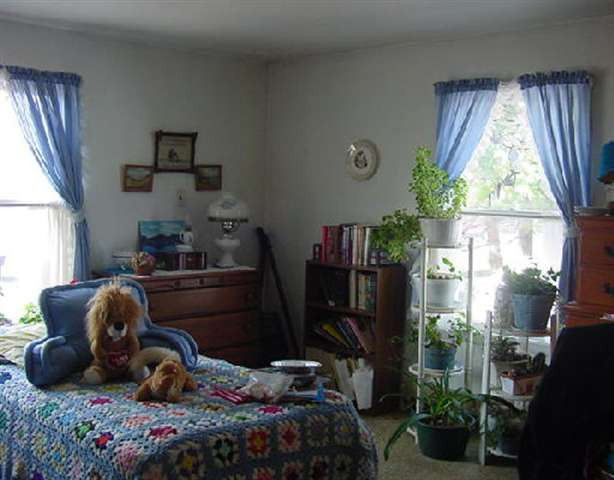 Photo 5