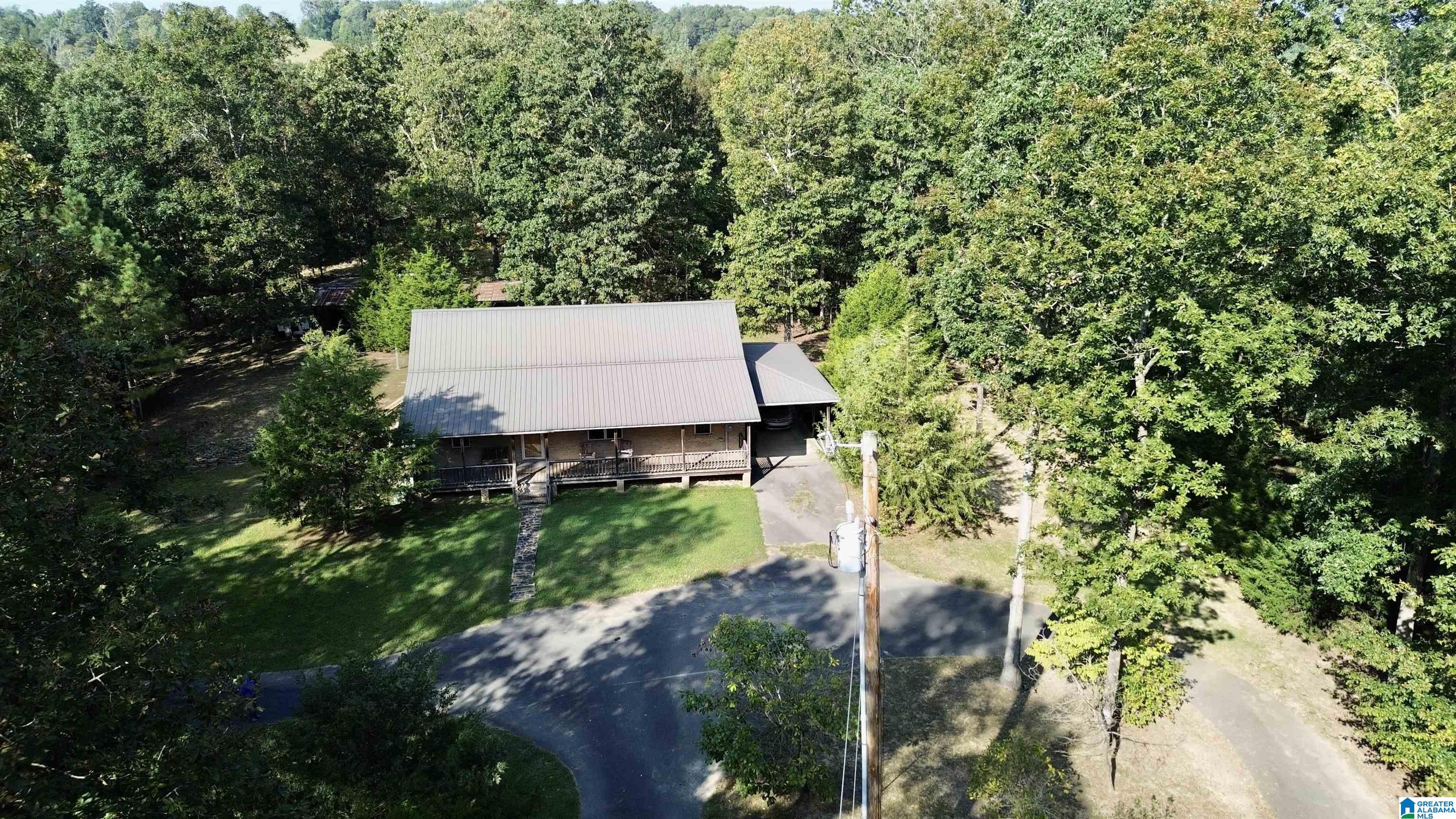 2055 Gum Pond Road Eva, AL 35621 - Photo 58 of 64