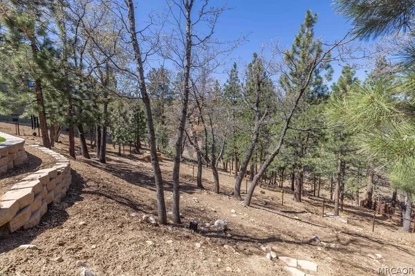 $995,000 | 1593 Angels Camp Road, Big Bear City, CA 92314