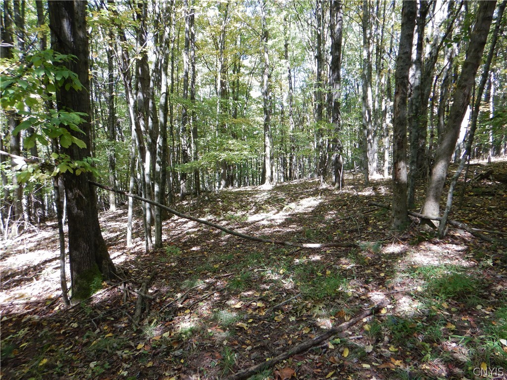 Phillips Road Windsor, NY 13865 - Photo 12 of 43 Gallery Image 12