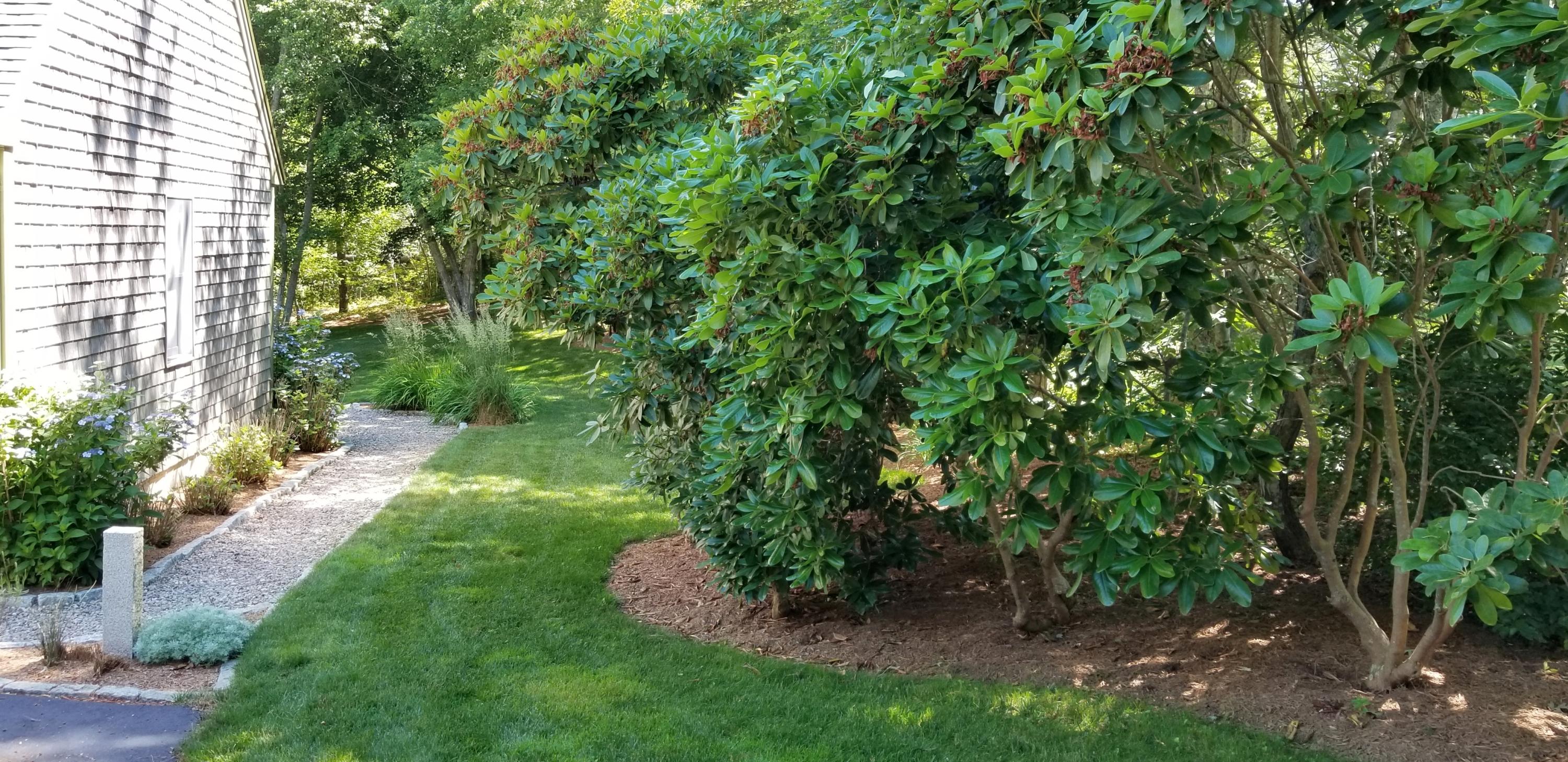 7 Sandy Way Mashpee, MA 02649 - Photo 27 of 30 Perennials