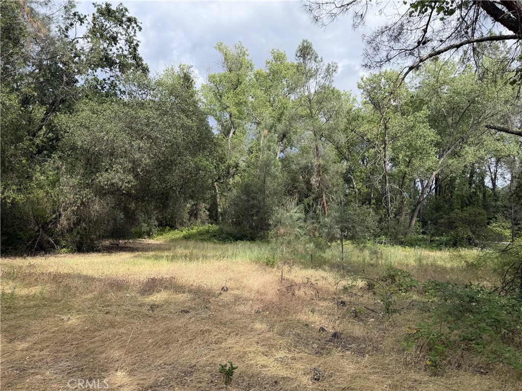 0 Ophir Road Oroville, CA 95966 - Photo 15 of 29 a view of a yard with a tree