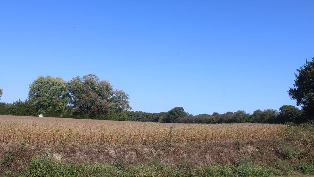 Lot 130 Matthews Road, Unit 130 Parksley, VA 23421 - Photo 7 of 15