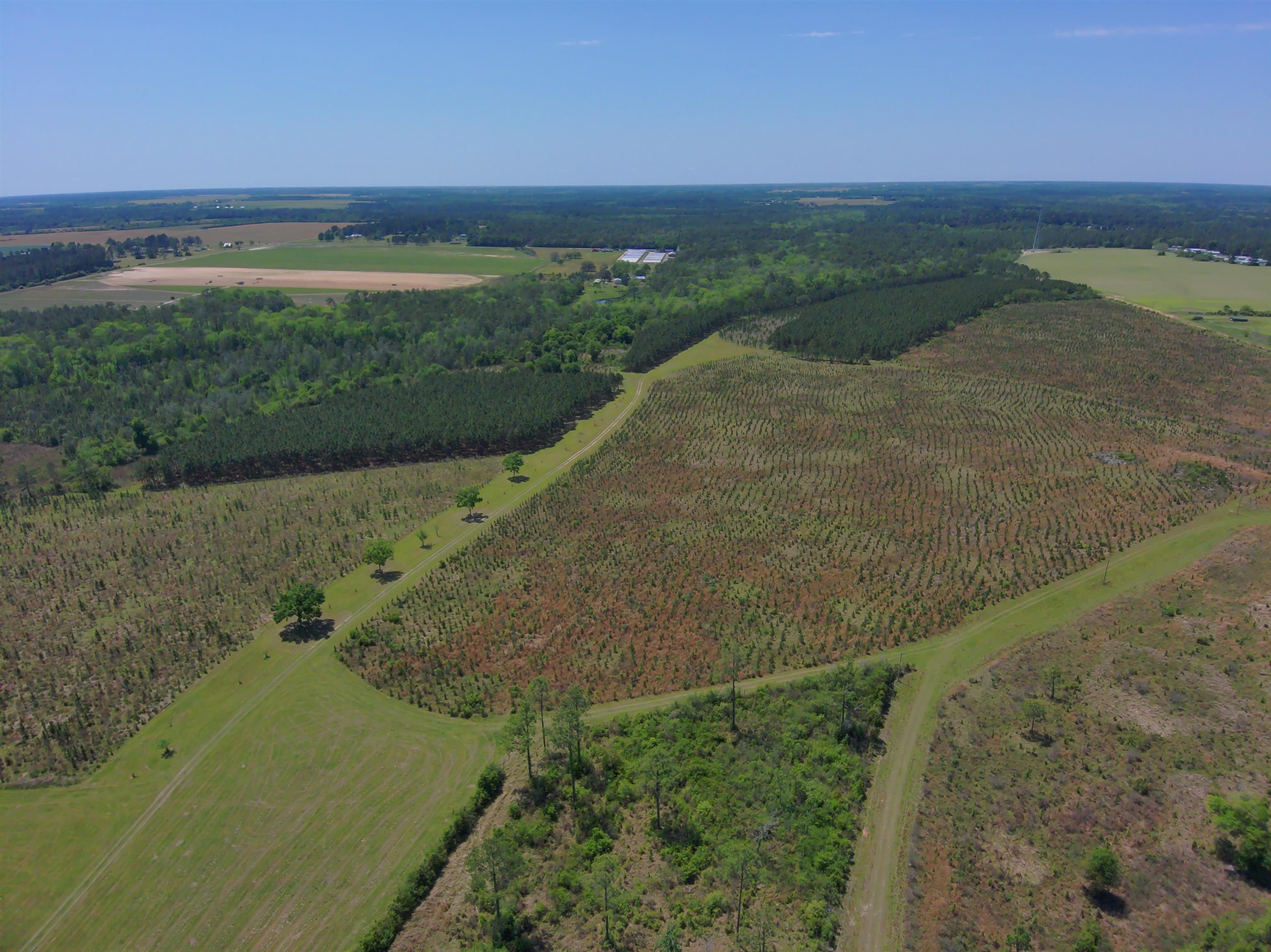87 County Road 87 Elberta, AL 36530 - Photo 2 of 66