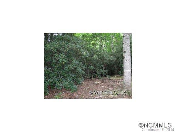 Xx Xx Walkertown Road Black Mountain, NC 28711 - Photo 1 of 2