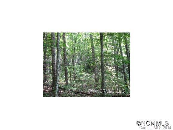Xx Xx Walkertown Road Black Mountain, NC 28711 - Photo 2 of 2