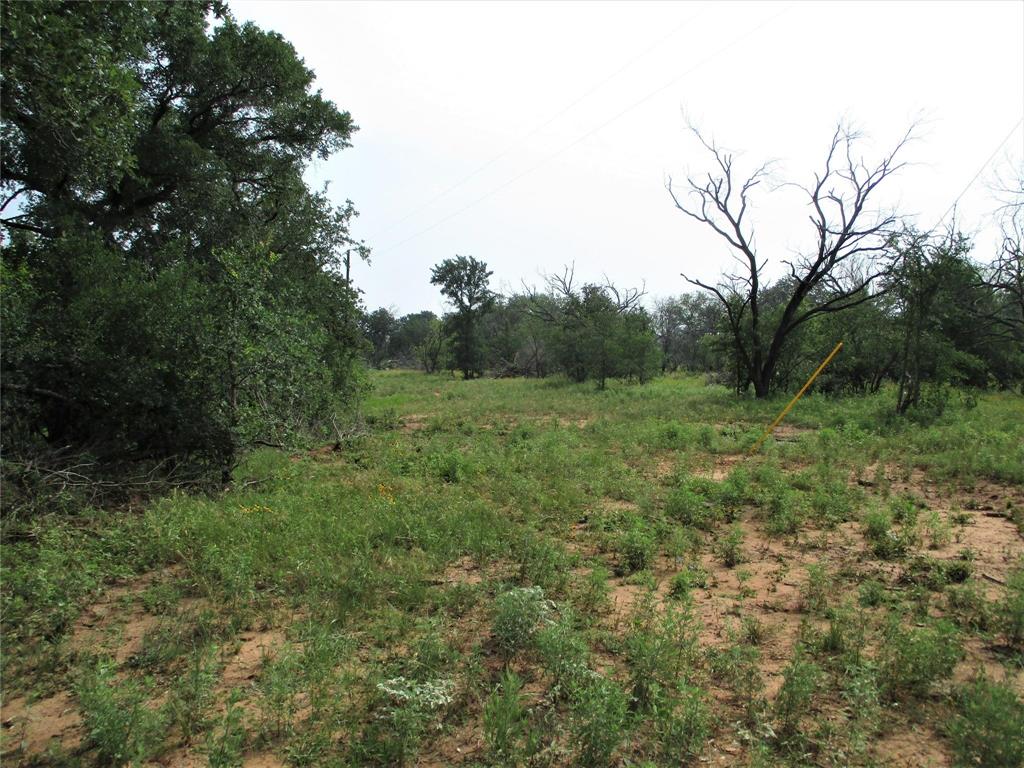 1 Hoffman Road Loving, TX 76460 - Photo 3 of 11