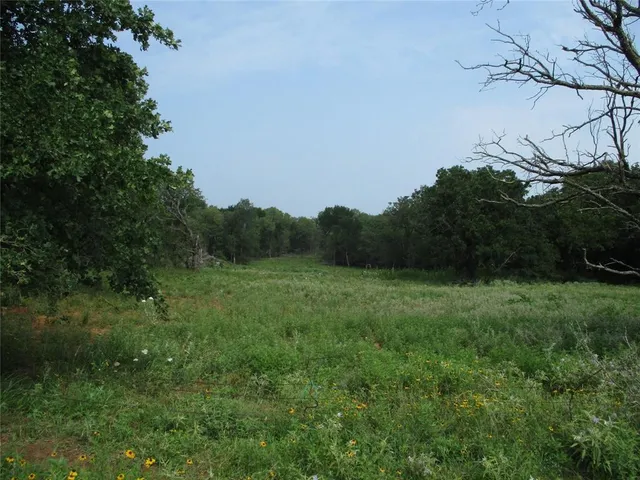 a view of an outdoor space and a yard