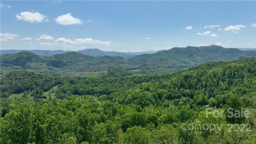 332 Aerial Ridge Waynesville, NC 28785 - Photo 44 of 48 Gallery Image 44
