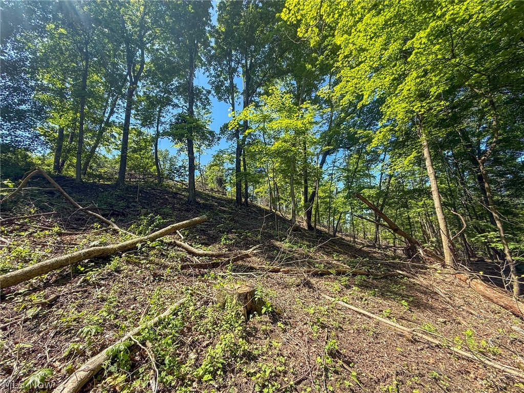 Lot 1 Altamont Road Mingo Junction, OH 43938 - Photo 23 of 31 Gallery Image 23