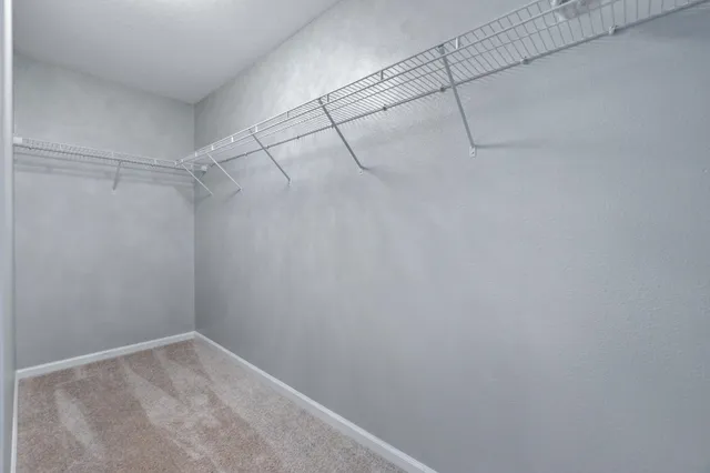 a view of a room with racks on the wall