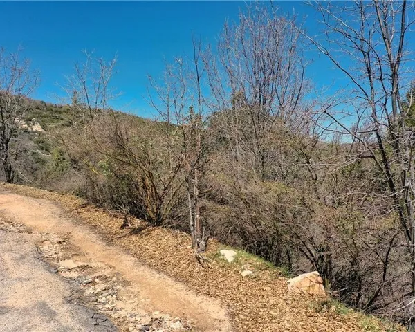 a view of a backyard of the house