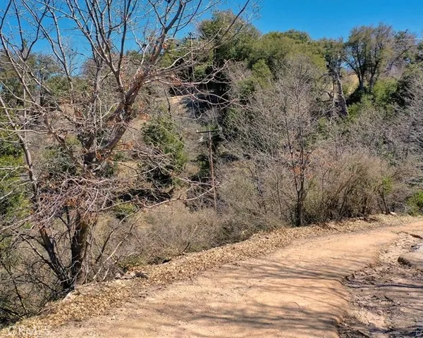 a view of a yard covered with snow on the road