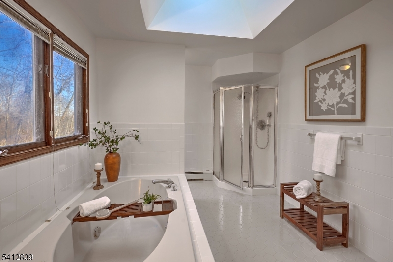 6 Rock Spring Road Chester, NJ 07930 - Photo 23 of 36