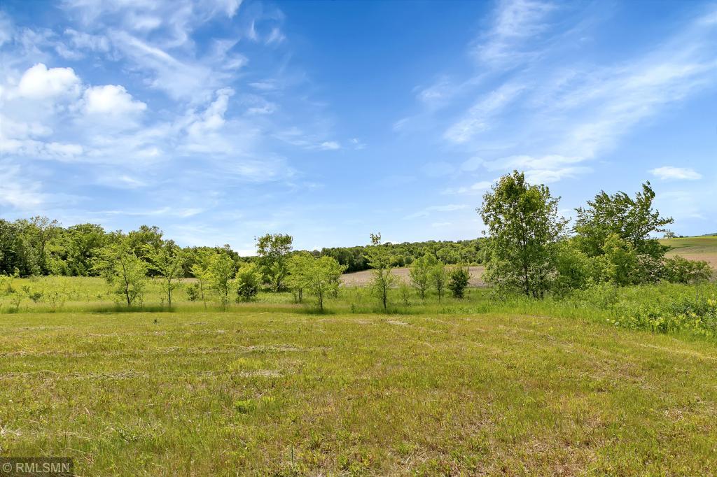 1503 2nd Street North Cold Spring, MN 56320 - Photo 35 of 36 Gallery Image 35