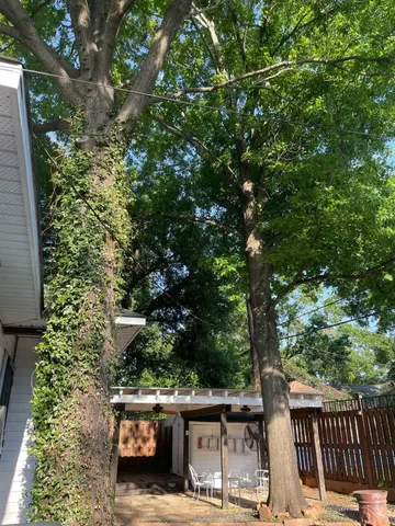 $850 | 7410 Ilex Street, Unit C, Houston, TX 77012