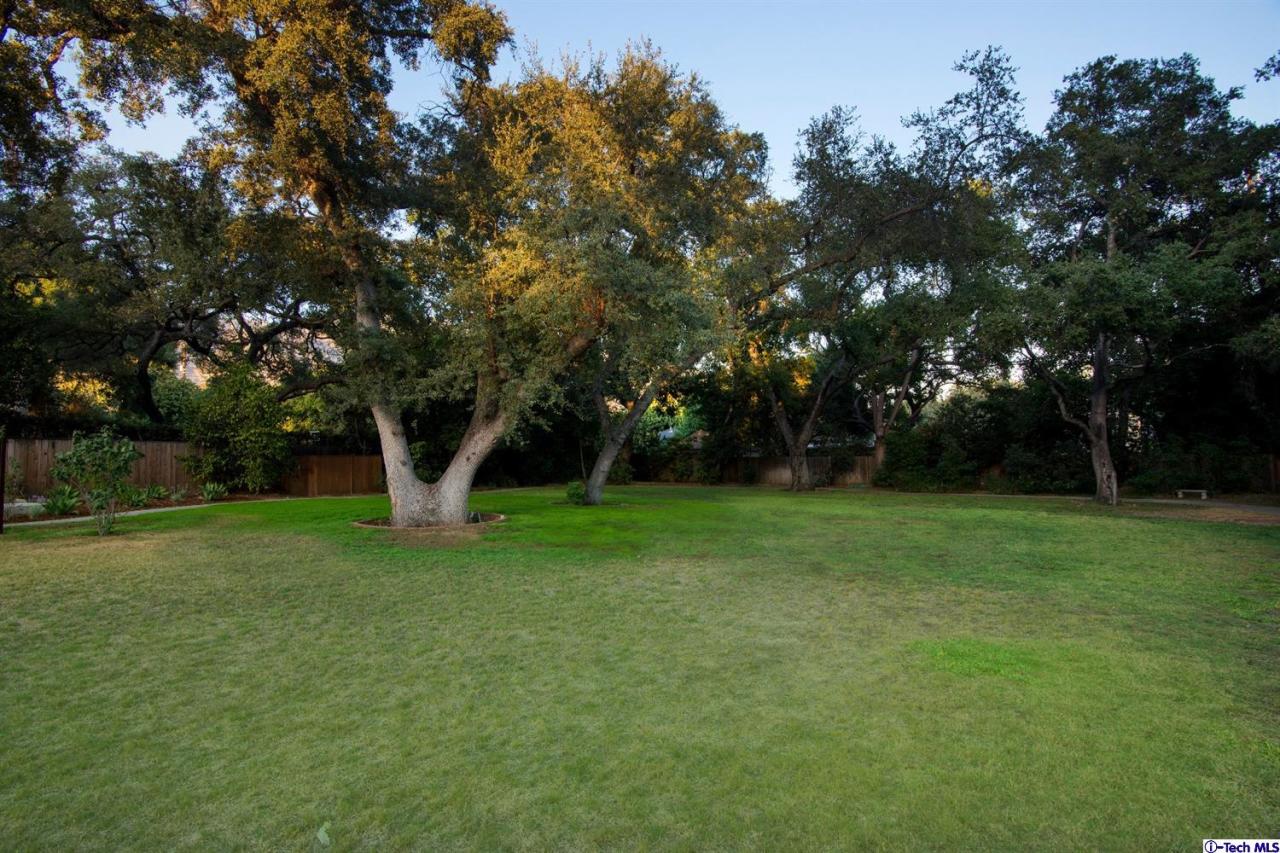 1814 Midlothian Drive Altadena, CA 91001 - Photo 34 of 42 a view of a trees in a yard