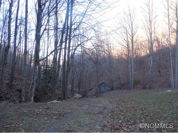 0 Pigeon Roost Road Green Mountain, NC 28740 - Photo 13 of 24