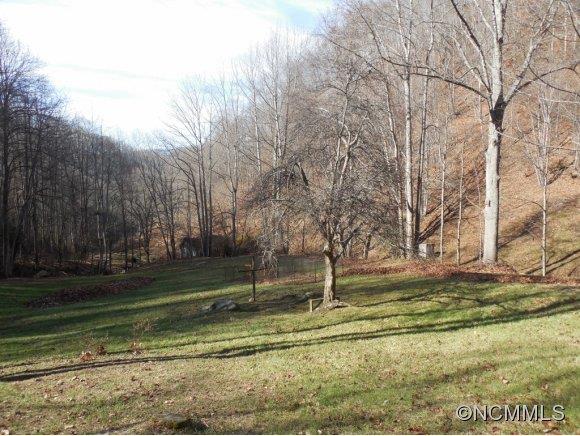 0 Pigeon Roost Road Green Mountain, NC 28740 - Photo 15 of 24