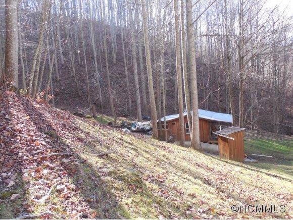 0 Pigeon Roost Road Green Mountain, NC 28740 - Photo 16 of 24
