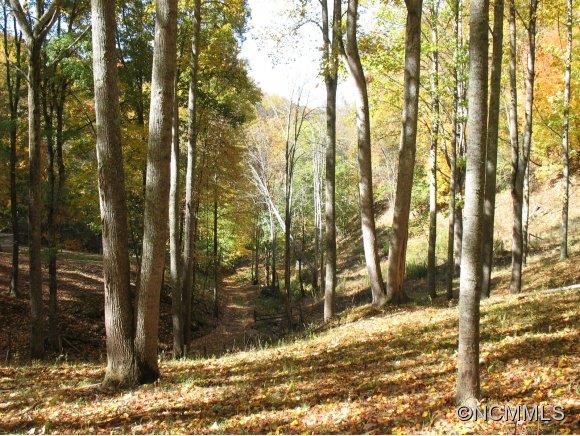 0 Pigeon Roost Road Green Mountain, NC 28740 - Photo 18 of 24