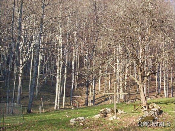 0 Pigeon Roost Road Green Mountain, NC 28740 - Photo 19 of 24