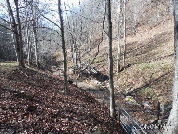 0 Pigeon Roost Road Green Mountain, NC 28740 - Photo 20 of 24