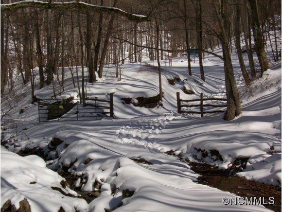 0 Pigeon Roost Road Green Mountain, NC 28740 - Photo 23 of 24
