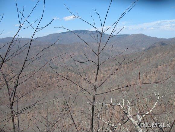 0 Pigeon Roost Road Green Mountain, NC 28740 - Photo 24 of 24