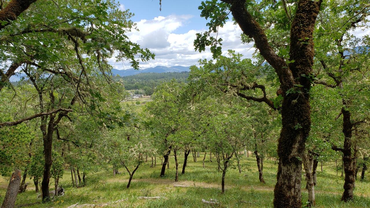 5745 Jerome Prairie Road Grants Pass, OR 97527 - Photo 8 of 79 20210519_130730