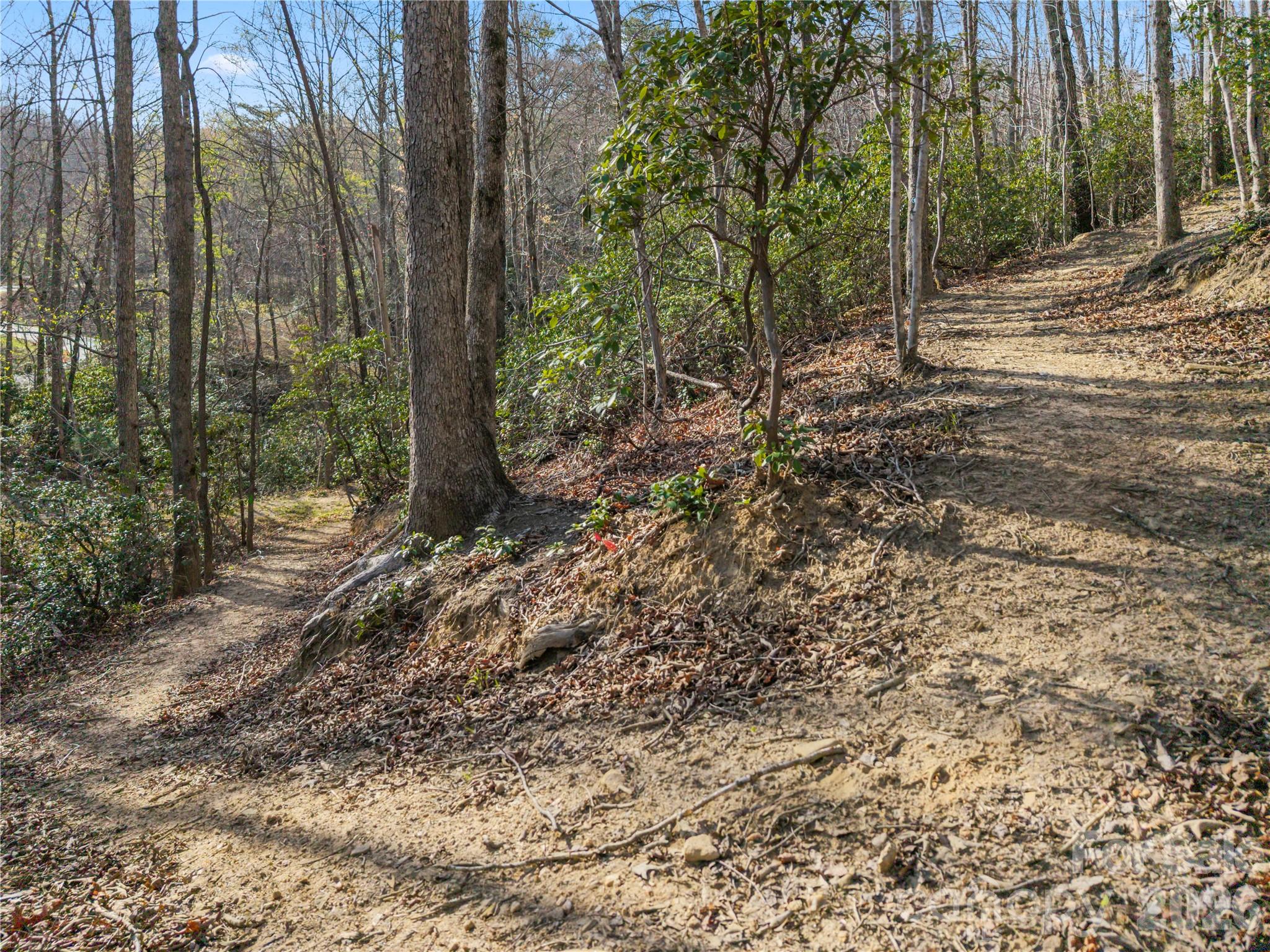 430 Pkwy N Road Mill Spring, NC 28756 - Photo 48 of 48