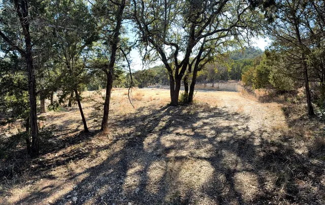 a view of snow on a tree