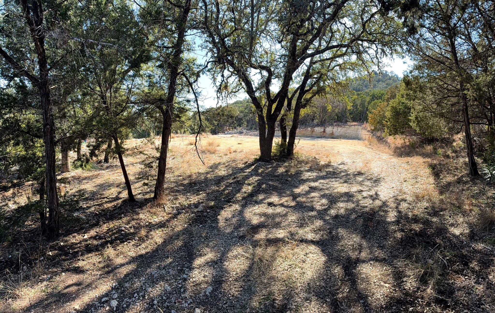 a view of snow on a tree